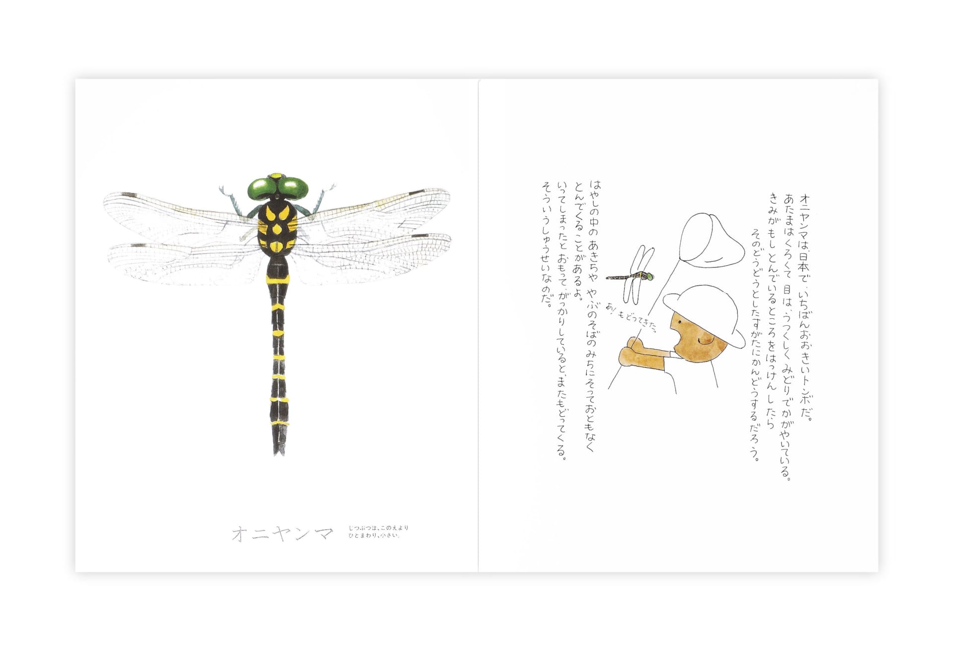 戸田デザイン研究室による昆虫の魅力を伝えるロングセラー絵本 昆虫とあそぼう 18年も販売 Webマガジン Axis デザインのwebメディア