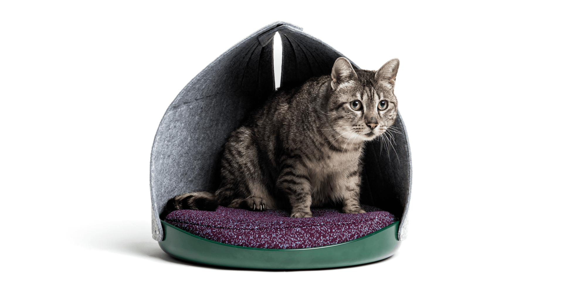 モダンなカラーリングのネコ用ベッド LAYERがデザインした